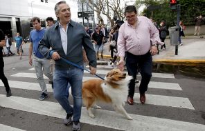 На фото: Альберто Фернандес выгуливает свою собаку перед тем, как пойти голосовать на президентских выборах в Буэнос-Айресе